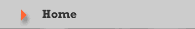 Return to the AFI Main Homepage